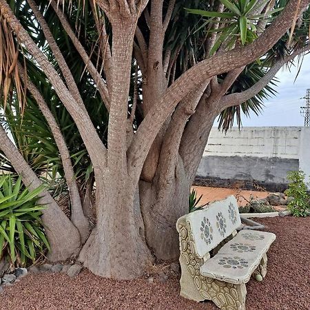 Tenerife Apartment Dulcynea With Terrace And Garden 600M2 With Ocean And Teide View Icod De Los Vinos Luaran gambar