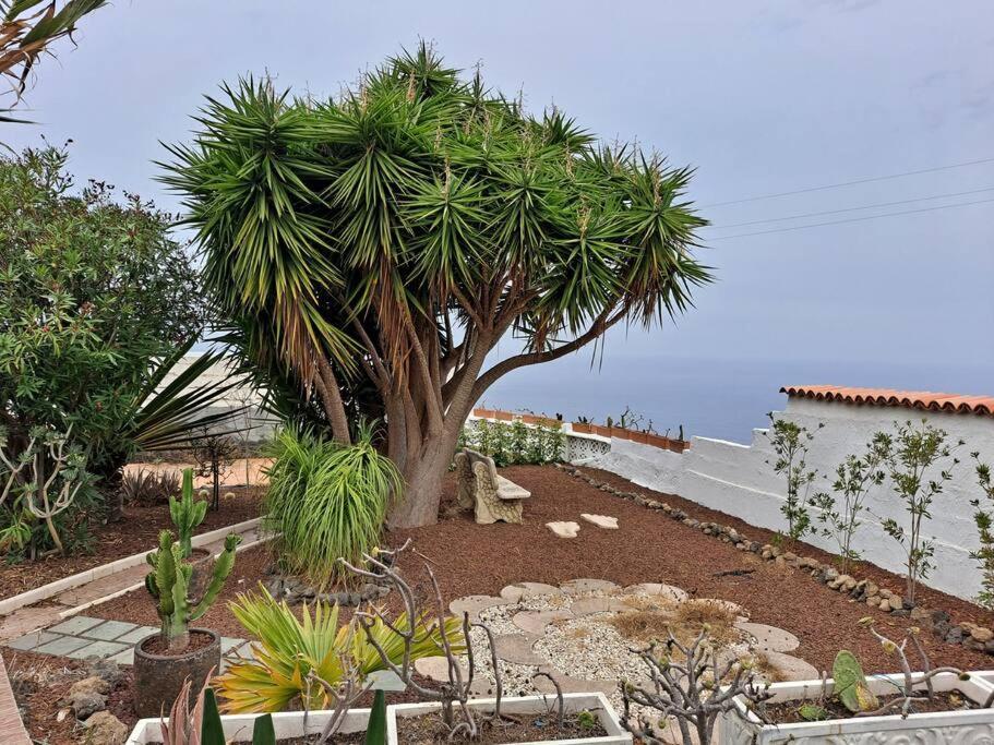 Tenerife Apartment Dulcynea With Terrace And Garden 600M2 With Ocean And Teide View Icod De Los Vinos Luaran gambar