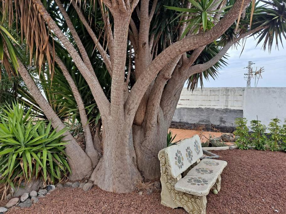 Tenerife Apartment Dulcynea With Terrace And Garden 600M2 With Ocean And Teide View Icod De Los Vinos Luaran gambar