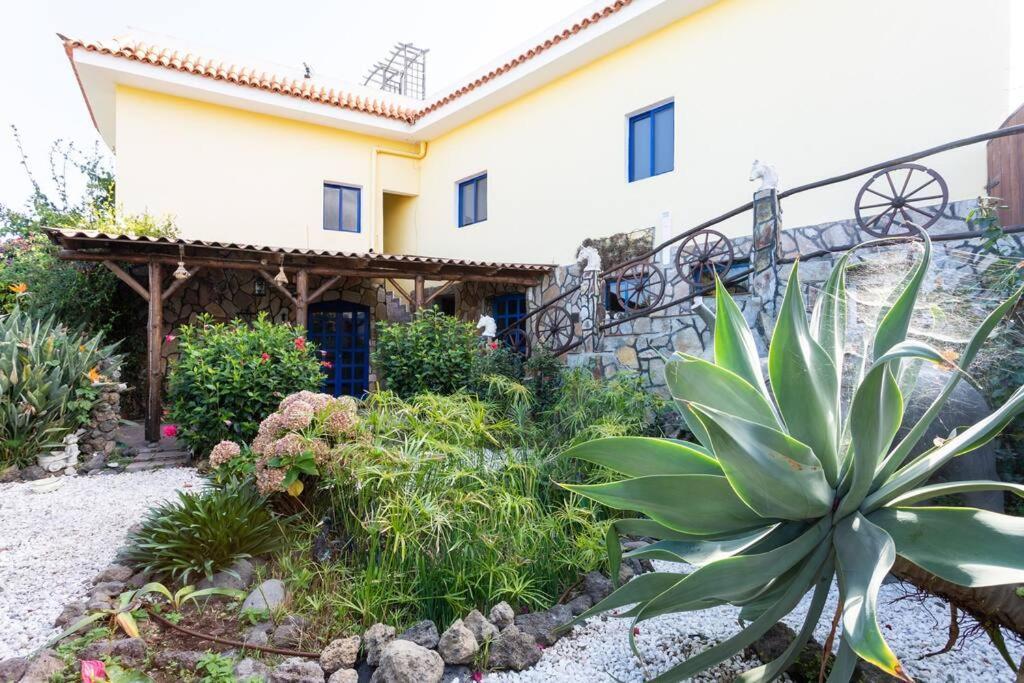 Tenerife Apartment Dulcynea With Terrace And Garden 600M2 With Ocean And Teide View Icod De Los Vinos Luaran gambar