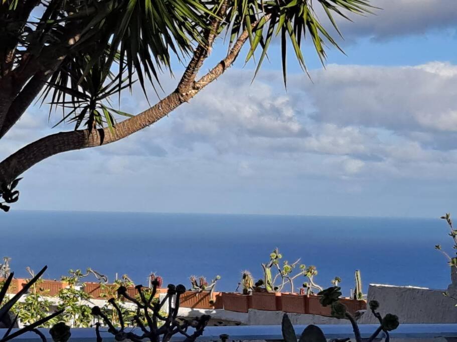 Tenerife Apartment Dulcynea With Terrace And Garden 600M2 With Ocean And Teide View Icod De Los Vinos Luaran gambar